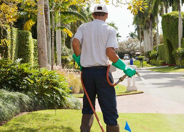 About Effingham IL Pest Control